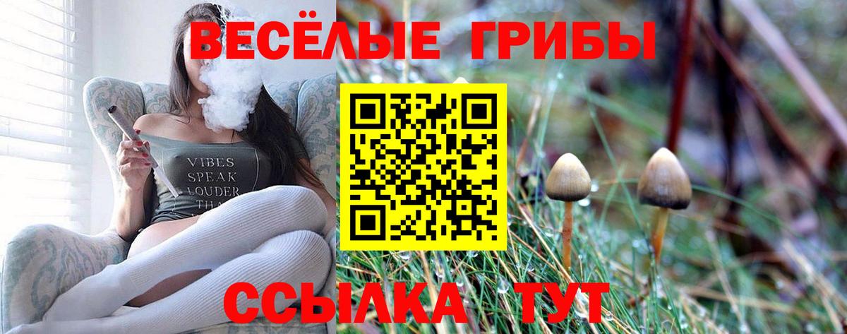 Псилоцибиновые грибы GOLDEN TEACHER  Вход с VPN  Выкса 