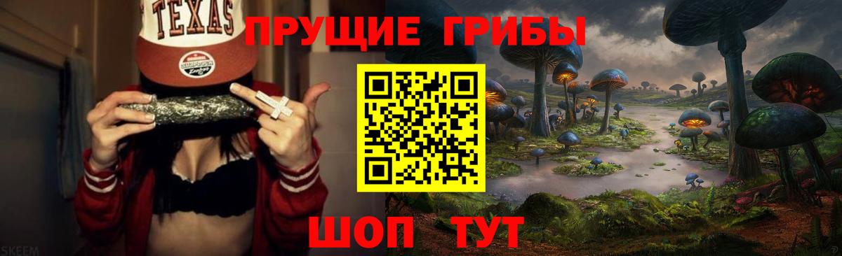 Галлюциногенные грибы Psilocybe Выкса